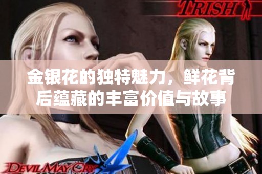 金银花的独特魅力，鲜花背后蕴藏的丰富价值与故事