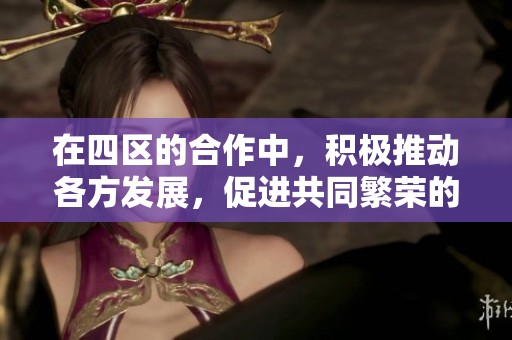 在四区的合作中，积极推动各方发展，促进共同繁荣的主题