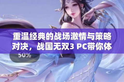 重温经典的战场激情与策略对决，战国无双3 PC带你体验无与伦比的精彩！