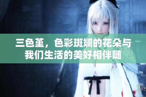 三色堇，色彩斑斓的花朵与我们生活的美好相伴随