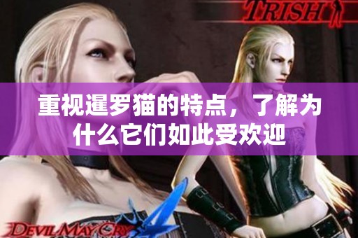 重视暹罗猫的特点，了解为什么它们如此受欢迎