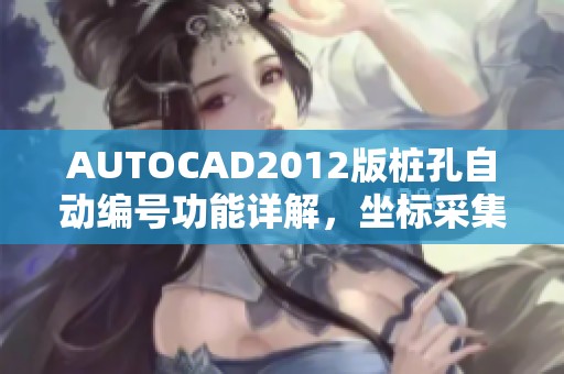 AUTOCAD2012版桩孔自动编号功能详解，坐标采集工具（附客户端下载）