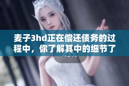 麦子3hd正在偿还债务的过程中，你了解其中的细节了吗
