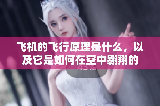 飞机的飞行原理是什么，以及它是如何在空中翱翔的