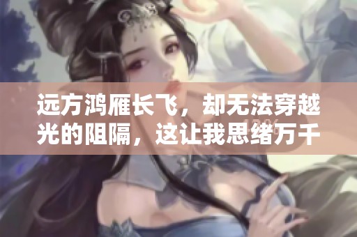 远方鸿雁长飞，却无法穿越光的阻隔，这让我思绪万千
