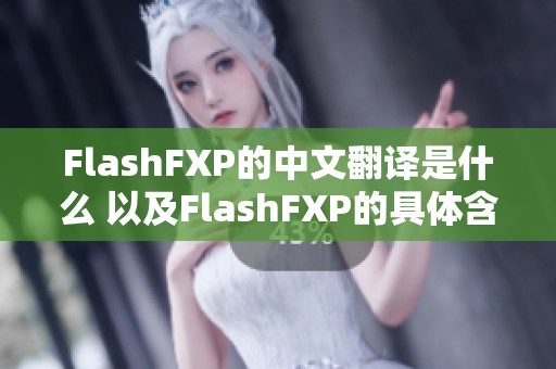 FlashFXP的中文翻译是什么 以及FlashFXP的具体含义和用法介绍