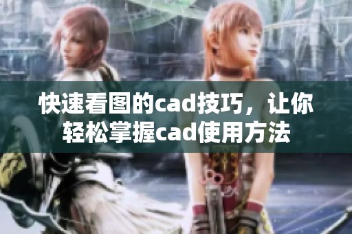 快速看图的cad技巧，让你轻松掌握cad使用方法