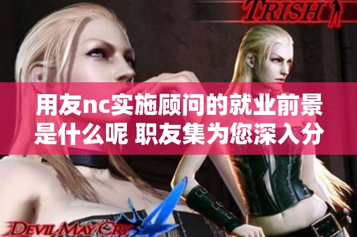 用友nc实施顾问的就业前景是什么呢 职友集为您深入分析