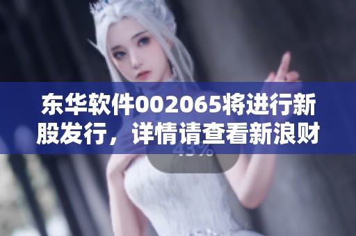 东华软件002065将进行新股发行，详情请查看新浪财经新浪网报道