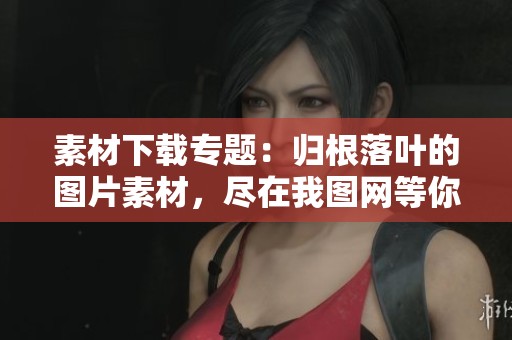 素材下载专题：归根落叶的图片素材，尽在我图网等你来获取