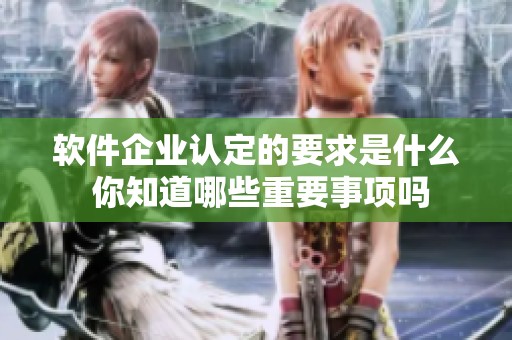 软件企业认定的要求是什么 你知道哪些重要事项吗