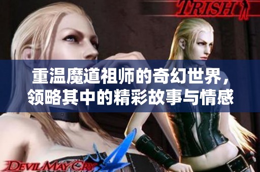 重温魔道祖师的奇幻世界，领略其中的精彩故事与情感纽带