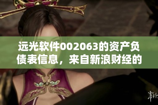 远光软件002063的资产负债表信息，来自新浪财经的深入分析与报道