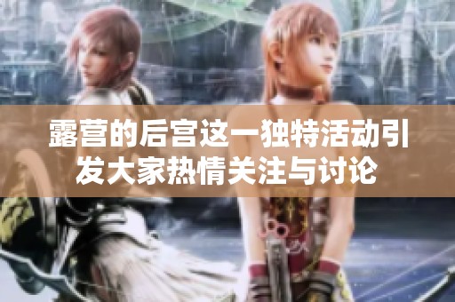 露营的后宫这一独特活动引发大家热情关注与讨论