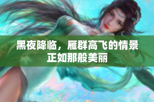 黑夜降临，雁群高飞的情景正如那般美丽
