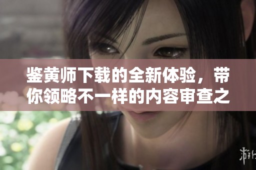 鉴黄师下载的全新体验，带你领略不一样的内容审查之旅