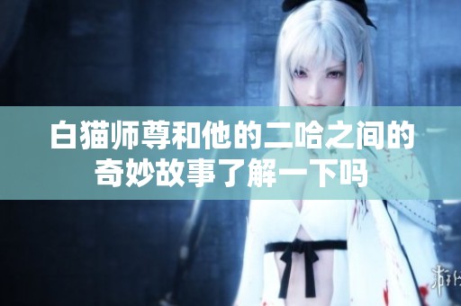 白猫师尊和他的二哈之间的奇妙故事了解一下吗
