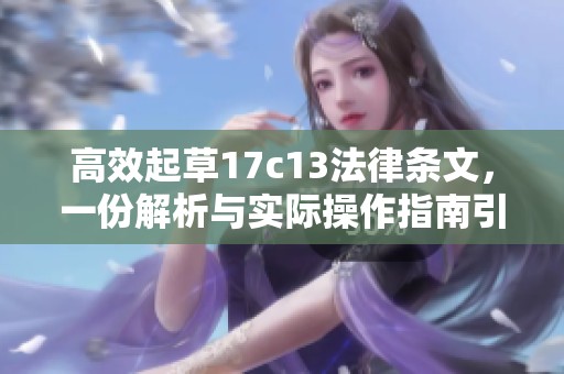 高效起草17c13法律条文，一份解析与实际操作指南引发的思考
