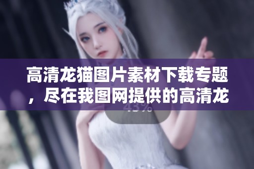 高清龙猫图片素材下载专题，尽在我图网提供的高清龙猫模板中