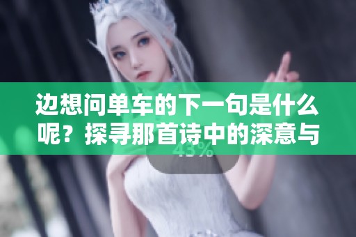 边想问单车的下一句是什么呢？探寻那首诗中的深意与美感。