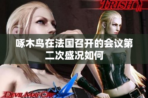 啄木鸟在法国召开的会议第二次盛况如何