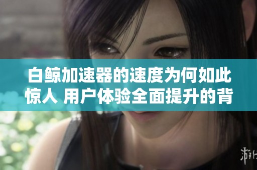 白鲸加速器的速度为何如此惊人 用户体验全面提升的背后原因解析